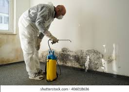 Mold Remediation for Rental Properties in Hamburg, NJ